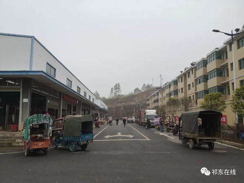 祁東縣大型活禽水產綜合批發市場 位置、功能與區域商貿新格局